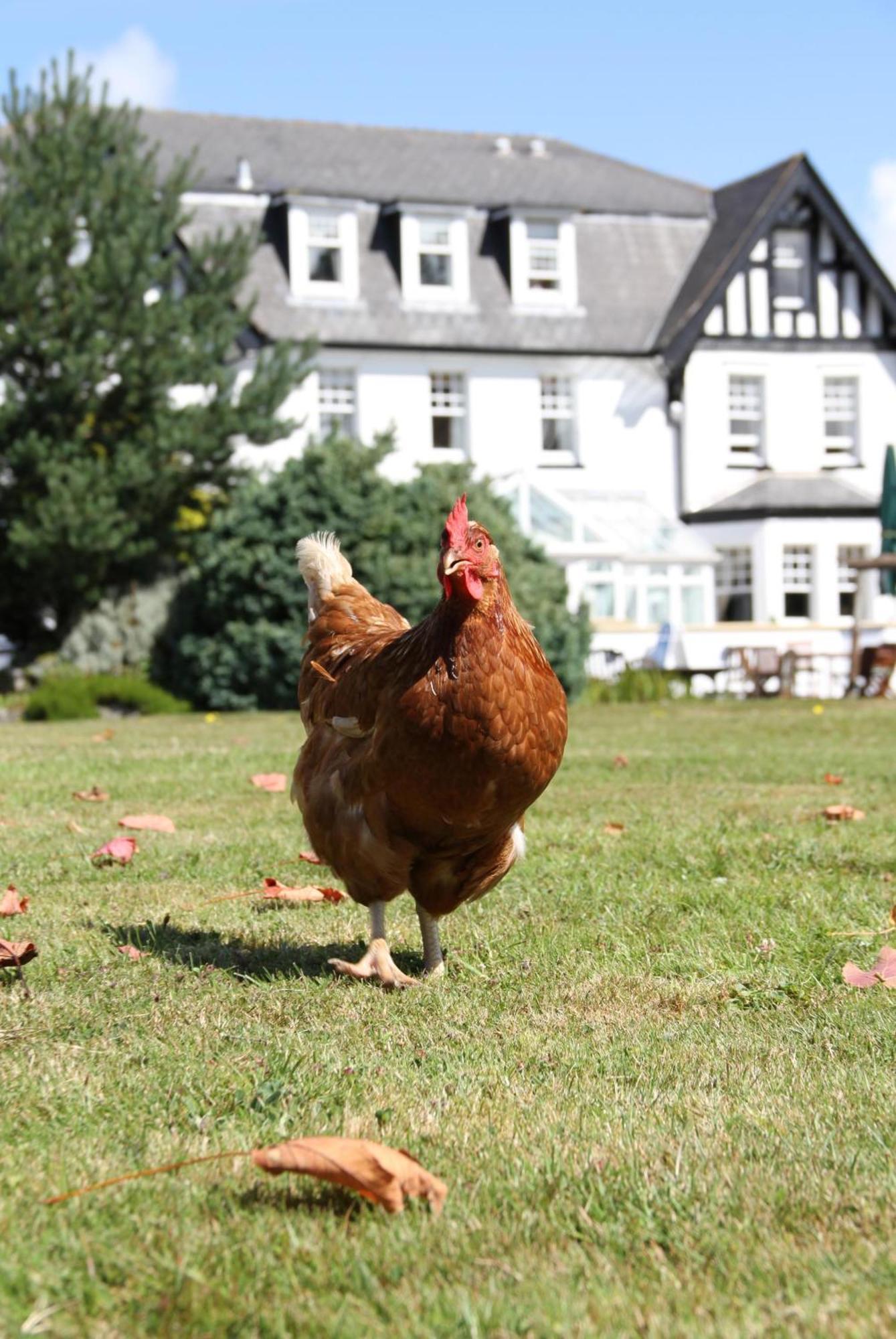 Ilsington Country House Hotel & Spa Exterior photo